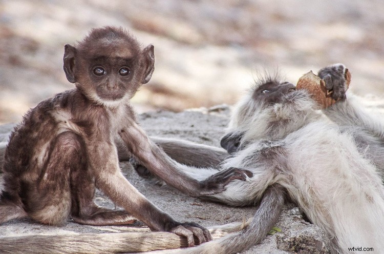 5 Essential Tips for Beginner Photographers: Getting Started Right