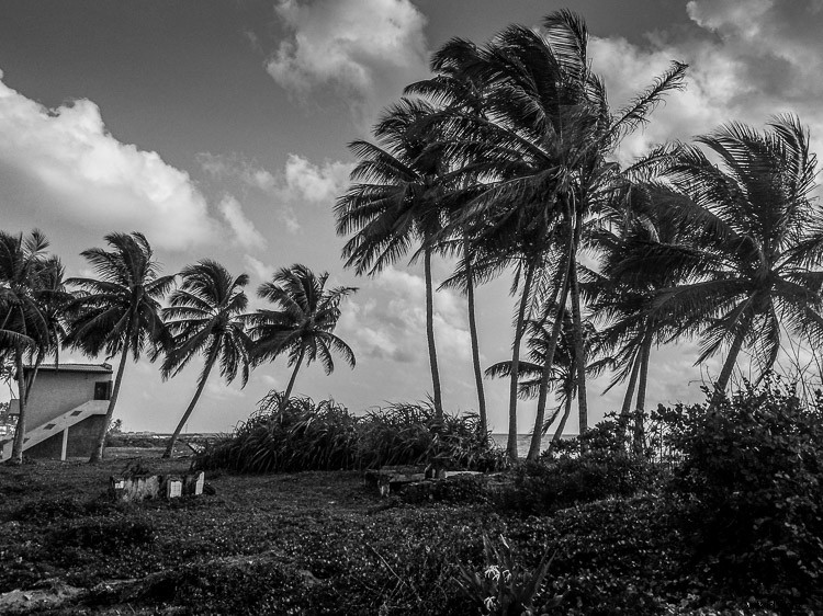 5 Essential Tips for Beginner Photographers: Getting Started Right