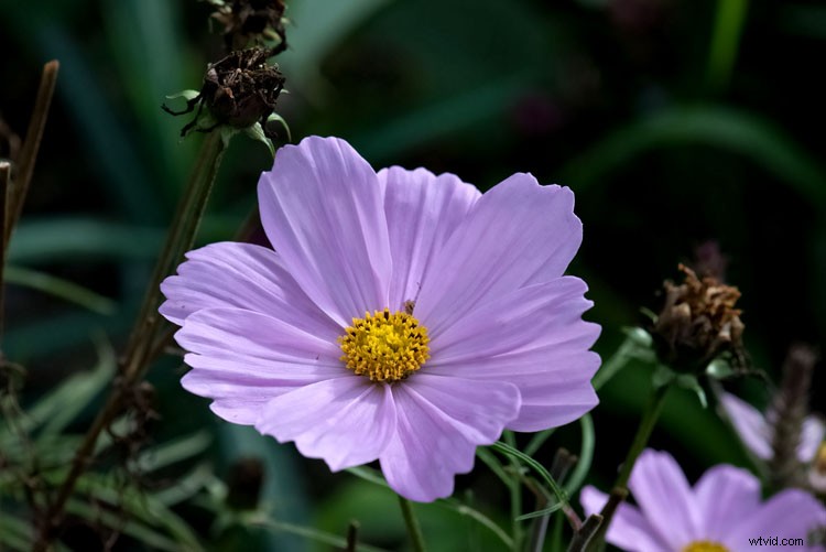 On1 Photo 10 Review: Powerful, Affordable Photoshop Alternative for Photographers