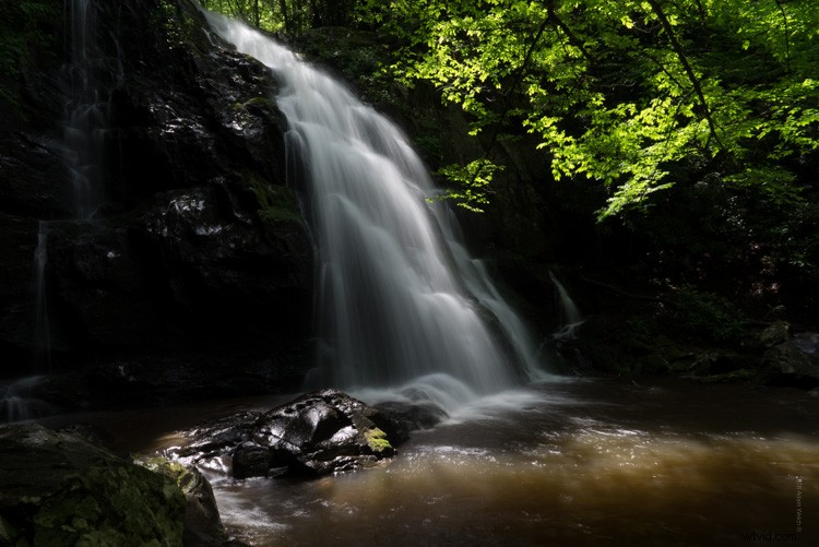 Master the Dreamy Soft Focus Effect: Elevate Your Photos with a Unique Style