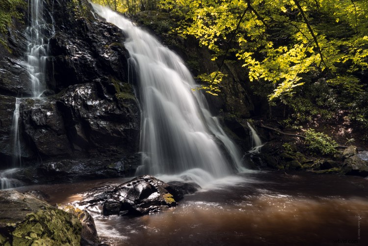 Master the Dreamy Soft Focus Effect: Elevate Your Photos with a Unique Style