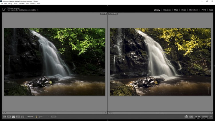 Master the Dreamy Soft Focus Effect: Elevate Your Photos with a Unique Style