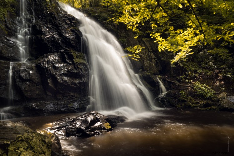 Master the Dreamy Soft Focus Effect: Elevate Your Photos with a Unique Style