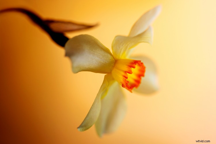 Why Photography is the Ultimate Hobby: 5 Compelling Reasons