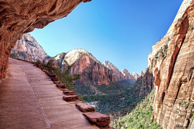 Why Photography is the Ultimate Hobby: 5 Compelling Reasons