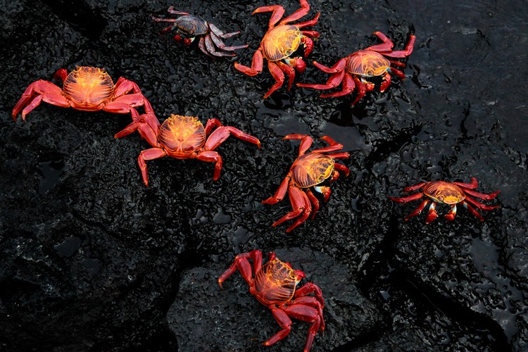 Why Photography is the Ultimate Hobby: 5 Compelling Reasons