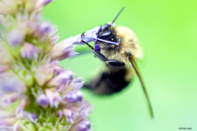 Why Photography is the Ultimate Hobby: 5 Compelling Reasons