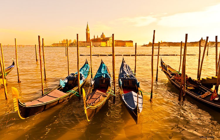 Top Beginner Photography Mistakes and How to Avoid Them