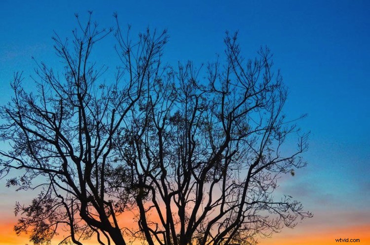 Winners Announced: Corel AfterShot Pro 3 Photo Editing Software Contest