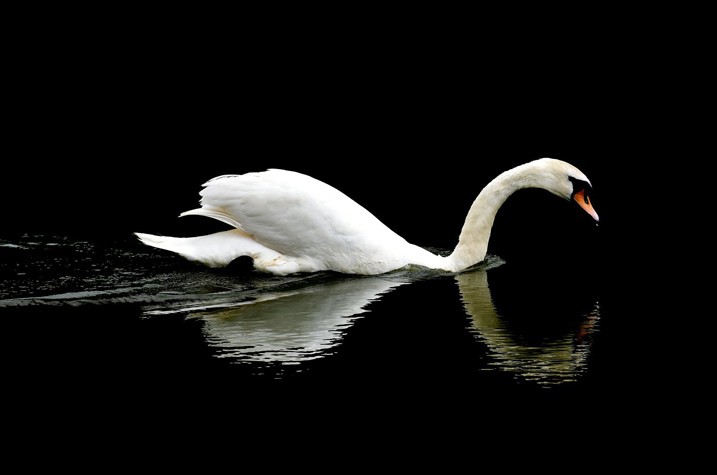 Winners Announced: Corel AfterShot Pro 3 Photo Editing Software Contest