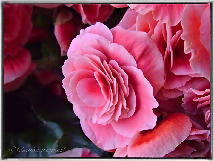 Winners Announced: Corel AfterShot Pro 3 Photo Editing Software Contest