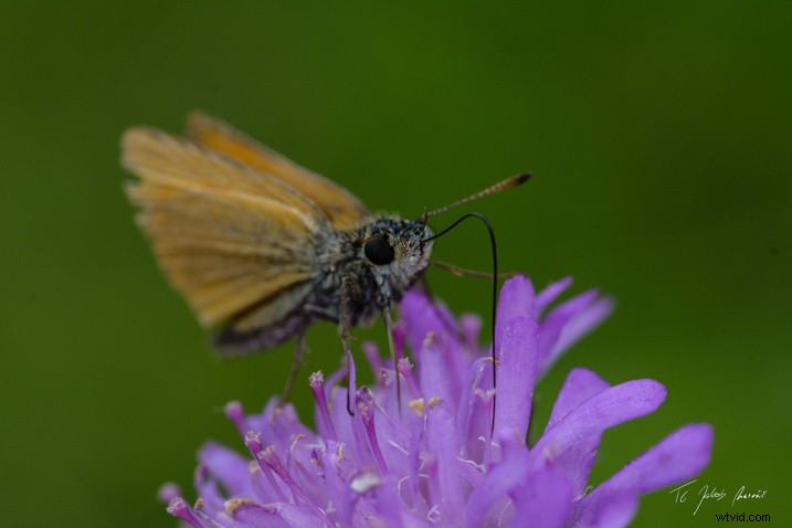 Winners Announced: Corel AfterShot Pro 3 Photo Editing Software Contest