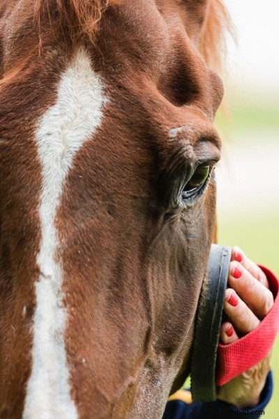 Unlock Lasting Fulfillment as an Amateur Photographer: Why Pros Might Envy You