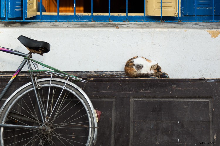 Unlock Lasting Fulfillment as an Amateur Photographer: Why Pros Might Envy You