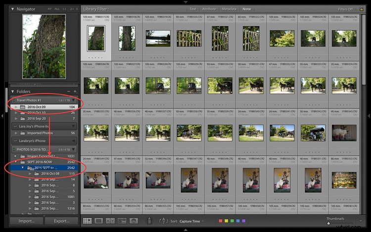 Secure Your Travel Photos: Ultimate Step-by-Step Backup Guide