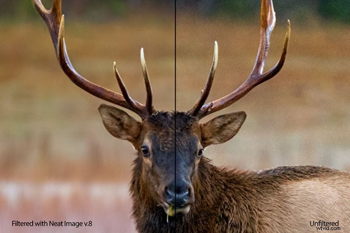 Neat Image 8 Review: Powerful Noise Reduction Software for Photographers