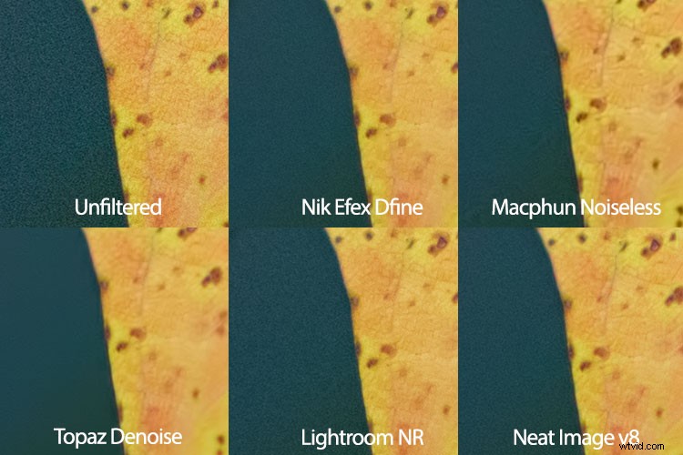 Neat Image 8 Review: Powerful Noise Reduction Software for Photographers