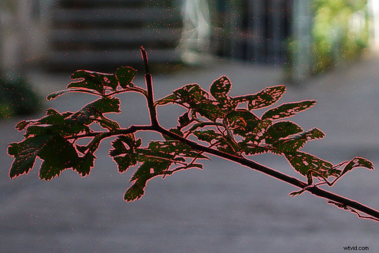 4 Proven Secrets to Capture Tack-Sharp Photos Every Time