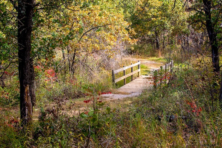 Mastering Photoshop Layers: Essential Properties and Creative Possibilities