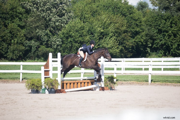 Master In-Camera Photography: Essential Tips for Perfect Shots Without Editing