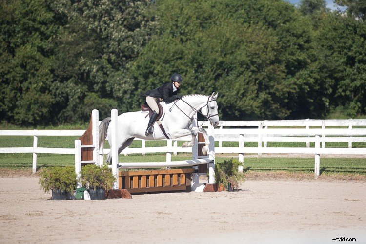 Master In-Camera Photography: Essential Tips for Perfect Shots Without Editing