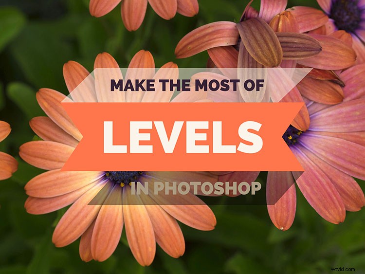 Master Photoshop s Levels Tool: Beginner s Guide to Pro Photo Adjustments