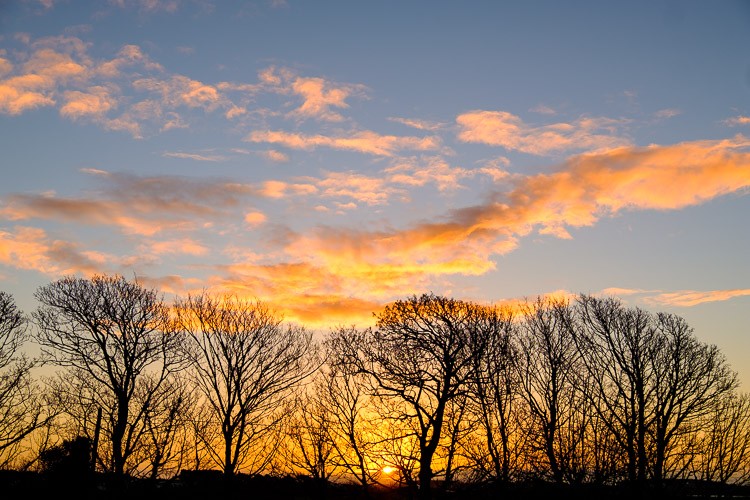 Fujifilm XF 18-135mm: The Ultimate Versatile Travel Lens Review