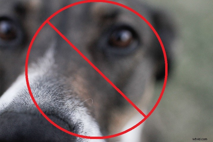 Proven Social Media Strategies to Boost Your Photography Business