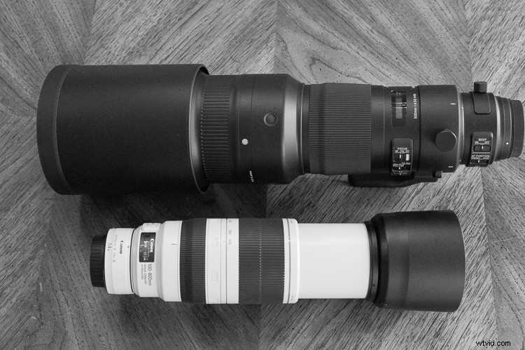 Sigma 500mm f/4 DG HSM OS Sports Lens Review: Beastly Performance for Wildlife Photographers
