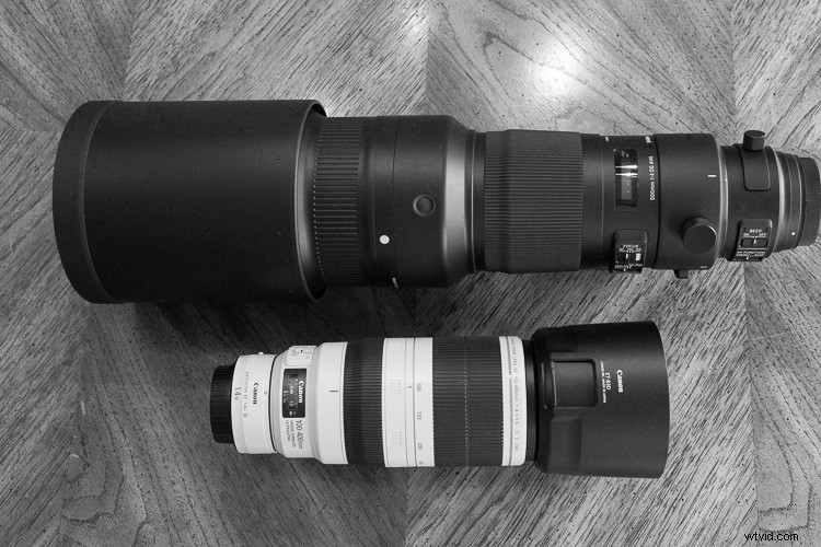 Sigma 500mm f/4 DG HSM OS Sports Lens Review: Beastly Performance for Wildlife Photographers