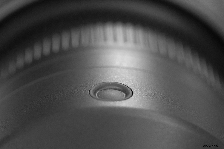 Sigma 500mm f/4 DG HSM OS Sports Lens Review: Beastly Performance for Wildlife Photographers