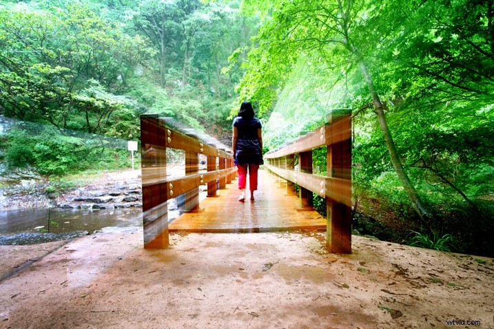 Master Stunning Zoom Burst Effects: Create Dynamic Photographs with Your DSLR