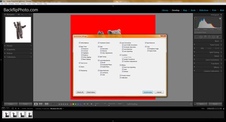 Master Post-Processing: The Essential Final Step in Studio Product Photography