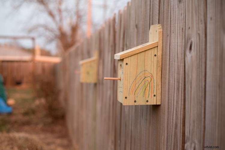 ISO Invariance Explained: Rethinking the Exposure Triangle in Modern Photography