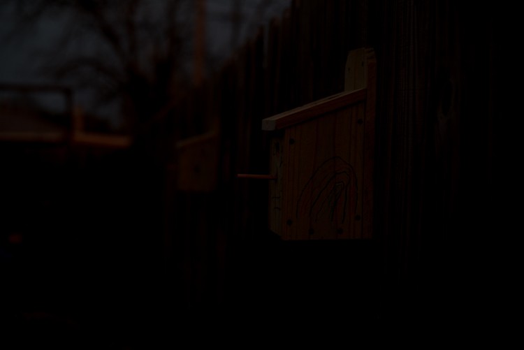 ISO Invariance Explained: Rethinking the Exposure Triangle in Modern Photography