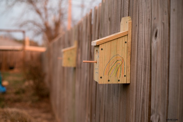 ISO Invariance Explained: Rethinking the Exposure Triangle in Modern Photography