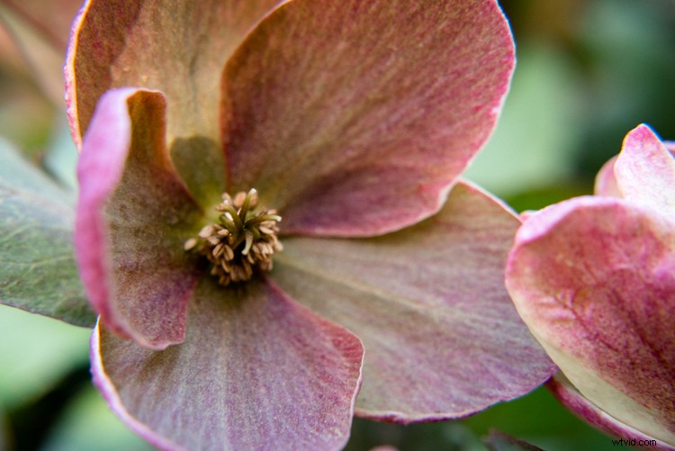 ISO Invariance Explained: Rethinking the Exposure Triangle in Modern Photography