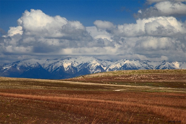 Master In-Camera Picture Styles: Customize Your Photos for Pro Results