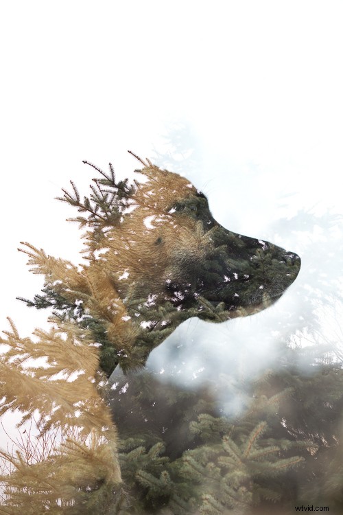 15 Creative Photography Ideas to Ignite Your Skills and Imagination