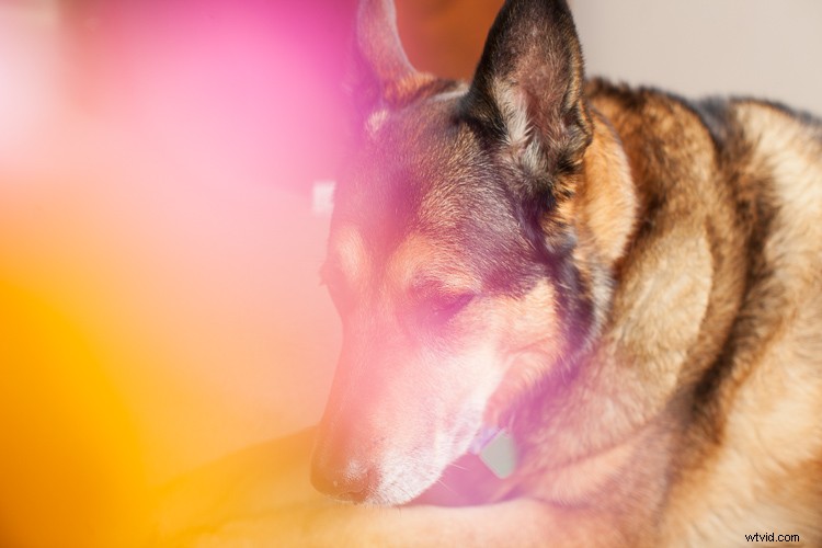 15 Creative Photography Ideas to Ignite Your Skills and Imagination