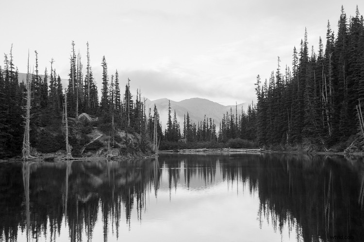 15 Creative Photography Ideas to Ignite Your Skills and Imagination