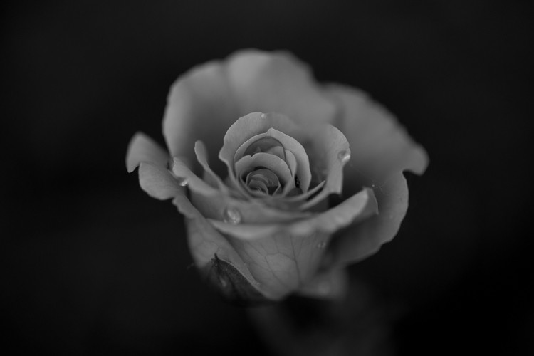 15 Creative Photography Ideas to Ignite Your Skills and Imagination