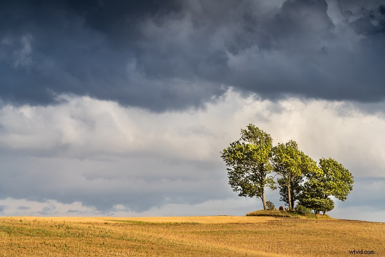 10 Proven Steps to Elevate Your Photography Skills Without New Gear