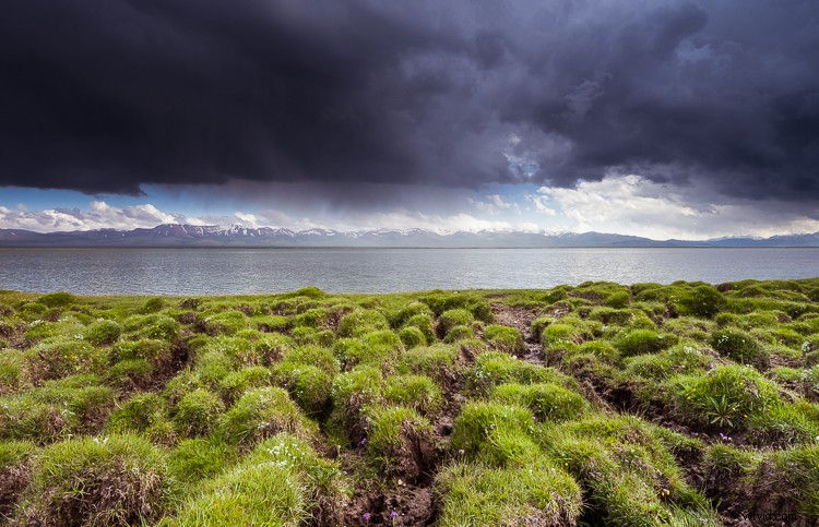 10 Proven Steps to Elevate Your Photography Skills Without New Gear