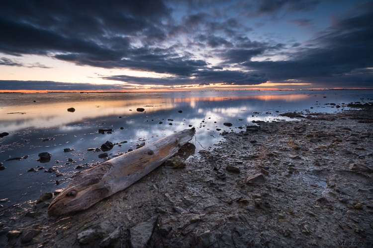 10 Proven Steps to Elevate Your Photography Skills Without New Gear