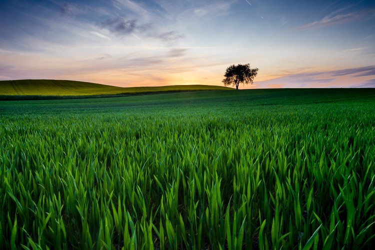 10 Proven Steps to Elevate Your Photography Skills Without New Gear