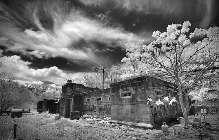 Elevate Black & White Photos: Master Infrared Photography Techniques