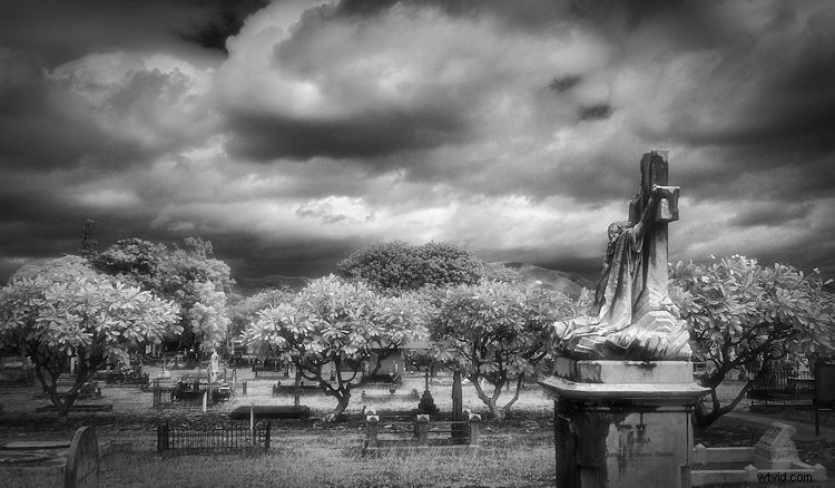 Elevate Black & White Photos: Master Infrared Photography Techniques