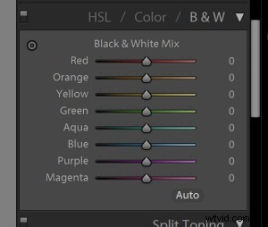 3 Proven Steps to Master Stunning Black and White Photography