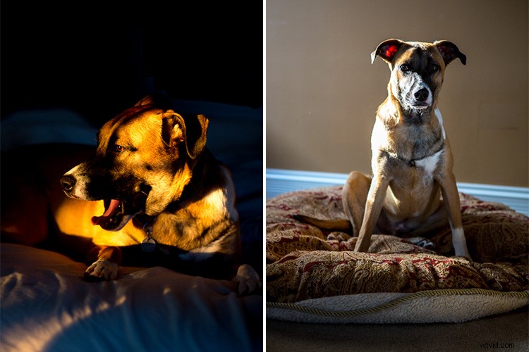 Expert Tips for Capturing Authentic Moments with Your Kids